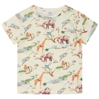 SAFARI Varianten Bild