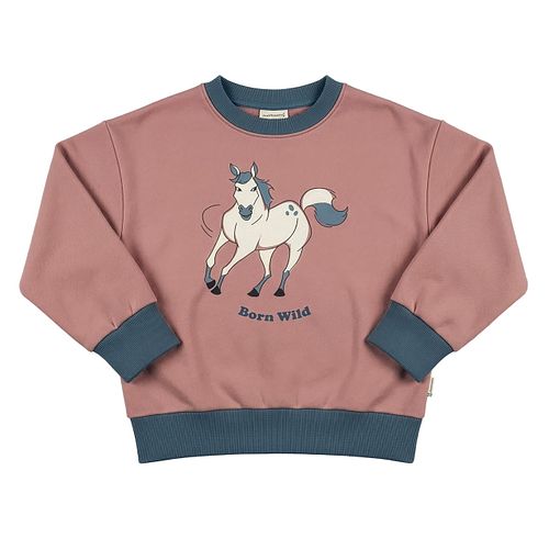 Pullover beige Wikinger Print