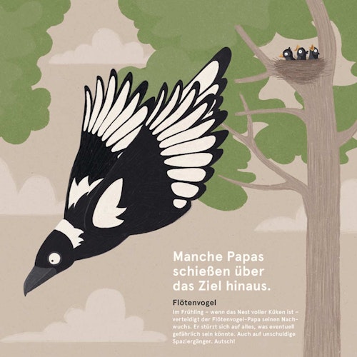 Wilde Papas – Sachbilderbuch ab 3 Jahren