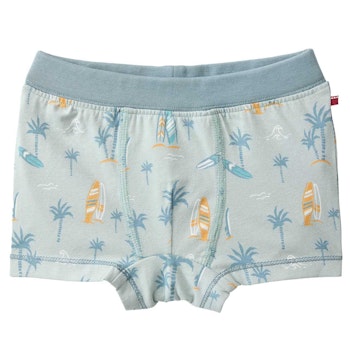 Boxershorts Surfboards salbeigrün