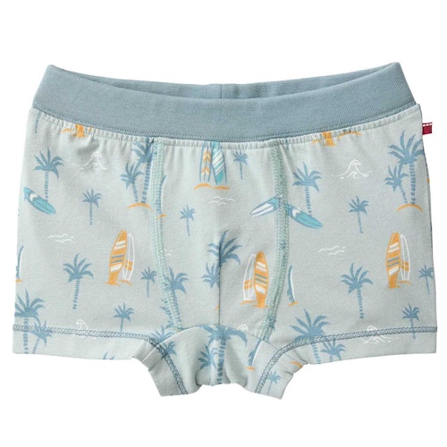 Boxershorts Surfboards