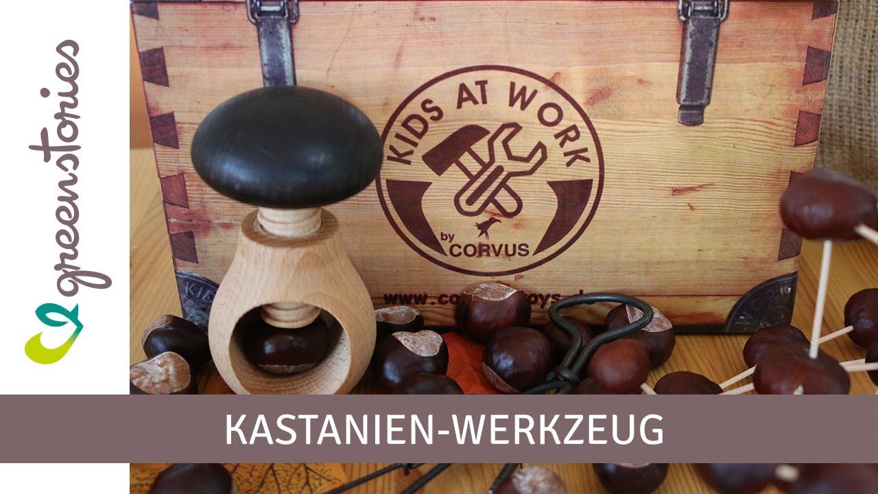 Kastanien Pilz und Bohrer - Set
